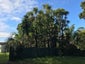 397A Hupara Road, Pakaraka, Kaikohe - Carousel 18