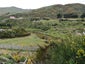 0 Kaitangata Highway, Stirling, Stirling - Carousel 3