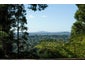 236 Konini Road, Titirangi, Auckland - Carousel 3