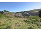 8B Pleasant Place, North East Valley, Dunedin - Carousel 5