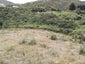 0 Kaitangata Highway, Stirling, Stirling - Carousel 7