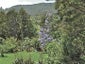 809 Koutu Loop Road, Opononi, Kaikohe - Carousel 5