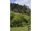 0 Maitai Valley Road, Maitai, Nelson - Carousel 1