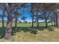 396A Broadway, Miramar, Wellington - Carousel 5