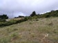 0 Kaitangata Highway, Stirling, Stirling - Carousel 10