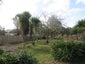 7000 Mangakahia Road, Kaikohe, Kaikohe - Carousel 23