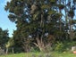 397A Hupara Road, Pakaraka, Kaikohe - Carousel 14
