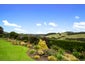 91 ZANDERS Road, Waimauku, Auckland - Carousel 6