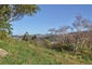 8B Pleasant Place, North East Valley, Dunedin - Carousel 9