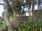 7000 Mangakahia Road, Kaikohe, Kaikohe - Carousel 24