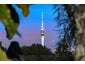2/0 Buller Street, Herne Bay, Auckland - Carousel 12