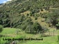 232 Takaka Valley Highway, Upper Takaka - Carousel 3