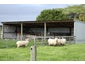 263 Findlay Road, ASCOT, INVERCARGILL - Carousel 5