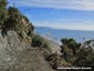 0 Takaka-Collingwood Hwy, Onekaka, Takaka - Carousel 7
