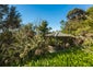 5 Coromandel Road, Oneroa, Waiheke Island - Carousel 8
