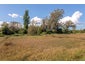 31 Fergusson Drive, Te Hapara, Gisborne - Carousel 23