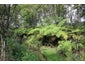 31 Jude Road, Kaiwaka - Carousel 4