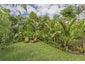 49 Rukutai Street, Orakei, Auckland - Carousel 10