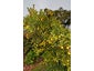 71 Hoon Hay Road, Hoon Hay, Christchurch - Carousel 11