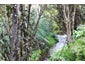 31 Jude Road, Kaiwaka - Carousel 8