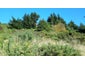 18 Emerald Lane, Cashmere, Christchurch - Carousel 4