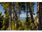 53 Takahe Road, Titirangi, Auckland - Carousel 19