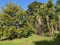 397A Hupara Road, Pakaraka, Kaikohe - Carousel 15