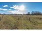 106 Pareora River Road, Timaru - Carousel 23
