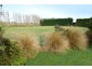 619 Bainfield Road, Waihopai, Invercargill - Carousel 23