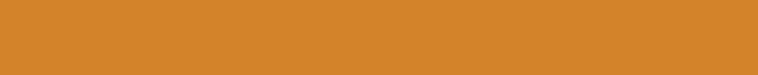 Bluetronics Small Top Banner